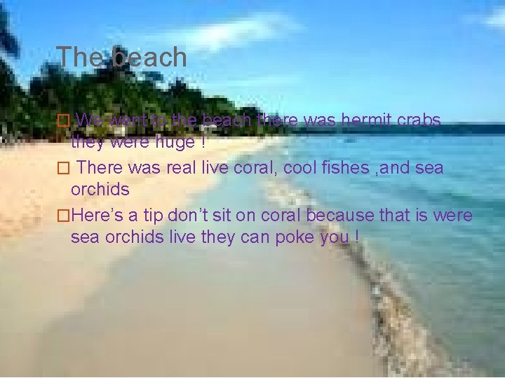 The beach � We went to the beach there was hermit crabs they were