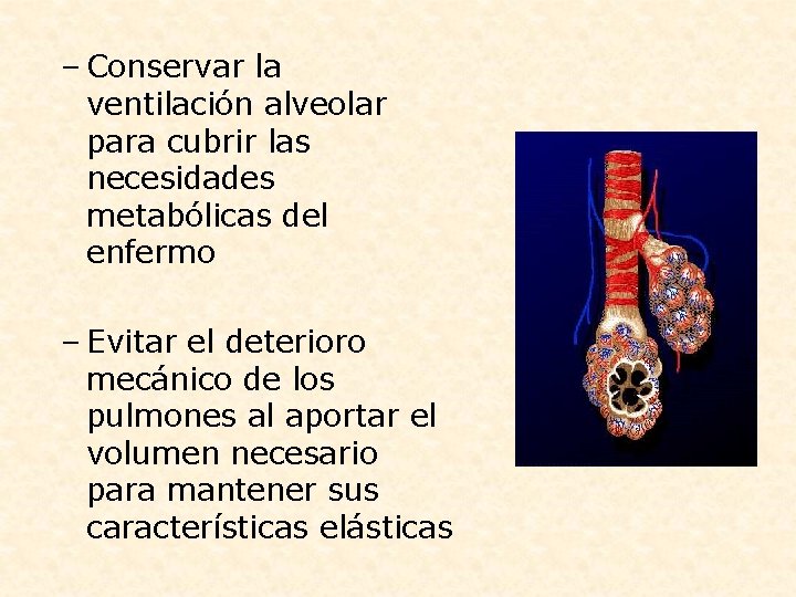 – Conservar la ventilación alveolar para cubrir las necesidades metabólicas del enfermo – Evitar