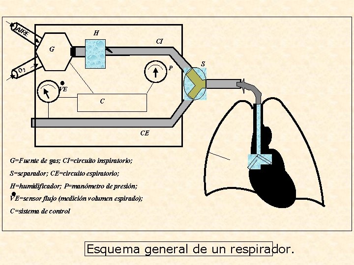 AI RE H CI G P O 2 S VE C CE G=Fuente de