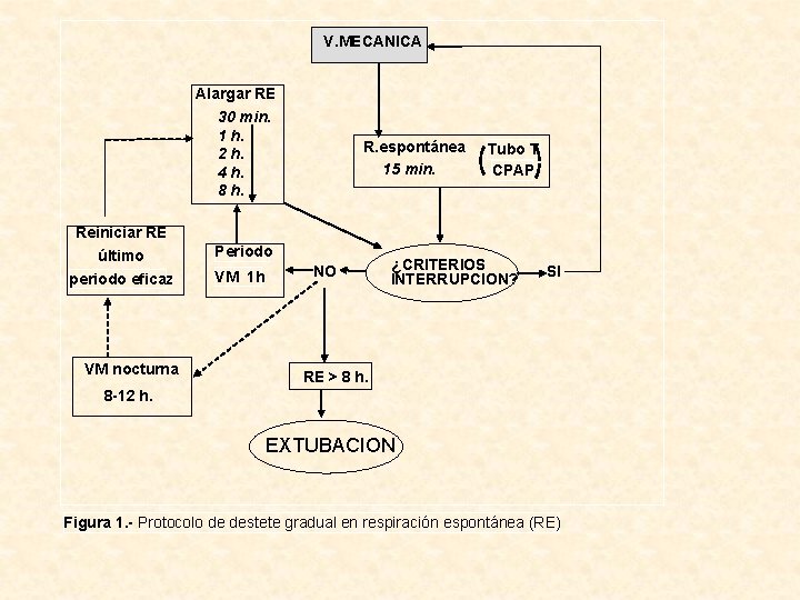 V. MECANICA Alargar RE 30 min. 1 h. 2 h. 4 h. 8 h.