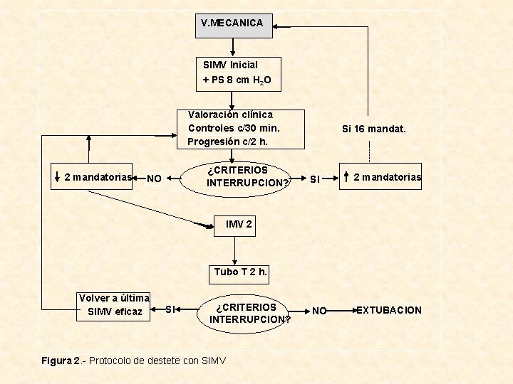 V. MECANICA SIMV Inicial + PS 8 cm H 2 O Valoración clínica Controles