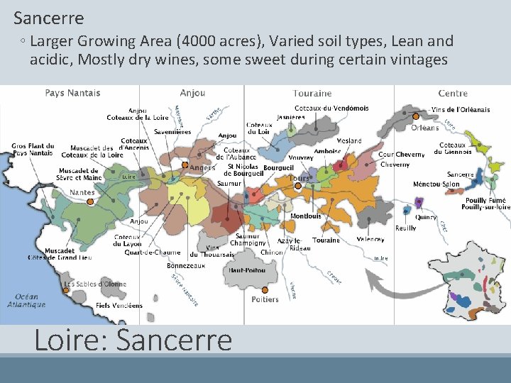  Sancerre ◦ Larger Growing Area (4000 acres), Varied soil types, Lean and acidic,