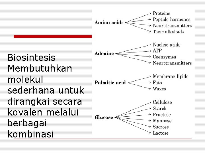 Biosintesis Membutuhkan molekul sederhana untuk dirangkai secara kovalen melalui berbagai kombinasi 