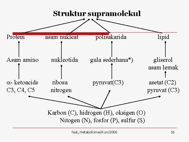 Struktur supramolekul Protein asam nukleat Asam amino nukleotida - ketoacids C 3, C 4,