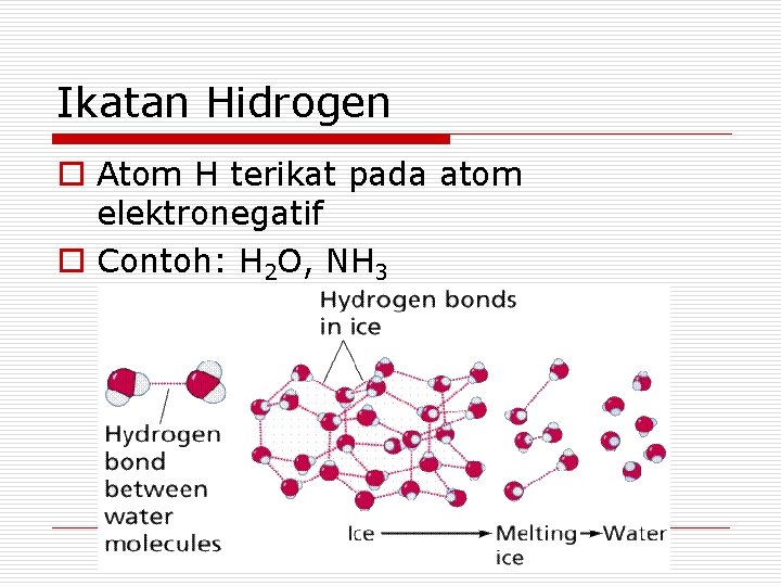 Ikatan Hidrogen o Atom H terikat pada atom elektronegatif o Contoh: H 2 O,