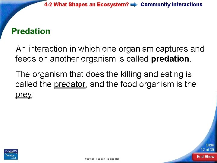 4 -2 What Shapes an Ecosystem? Community Interactions Predation An interaction in which one