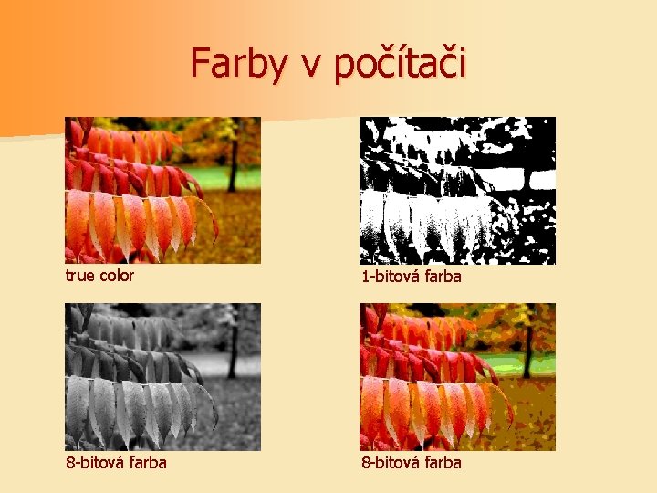 Farby v počítači true color 1 -bitová farba 8 -bitová farba 