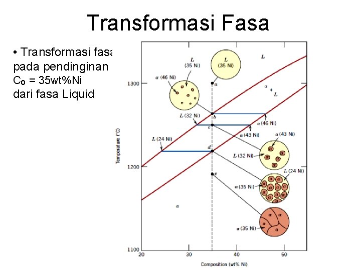 Transformasi Fasa • Transformasi fasa pada pendinginan Co = 35 wt%Ni dari fasa Liquid