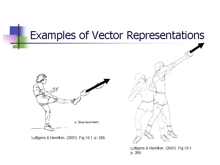 Examples of Vector Representations Luttgens & Hamilton. (2001). Fig 10. 1. p. 266. 