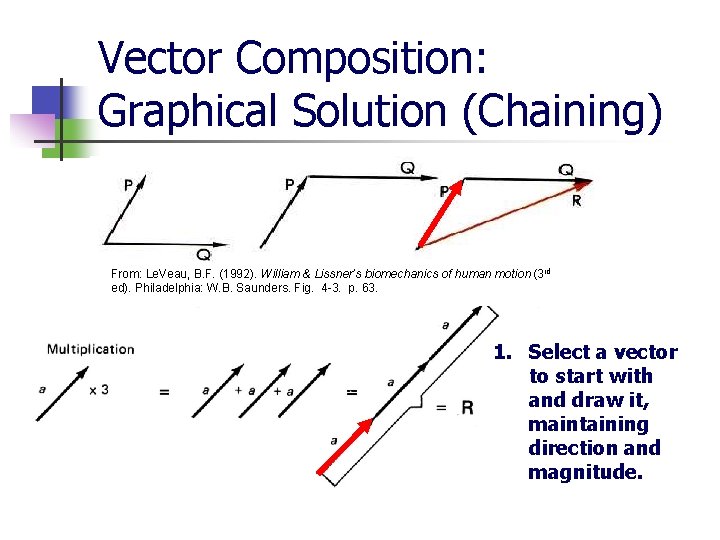 Vector Composition: Graphical Solution (Chaining) From: Le. Veau, B. F. (1992). William & Lissner’s