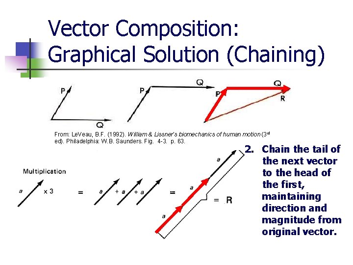 Vector Composition: Graphical Solution (Chaining) From: Le. Veau, B. F. (1992). William & Lissner’s
