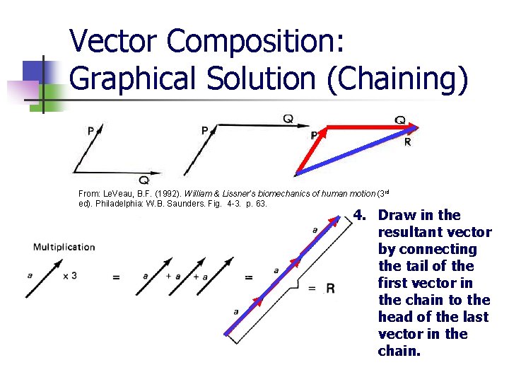 Vector Composition: Graphical Solution (Chaining) From: Le. Veau, B. F. (1992). William & Lissner’s