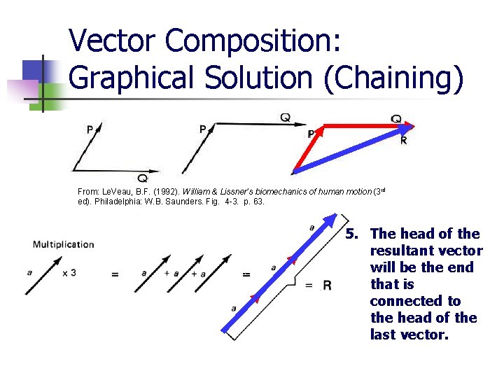 Vector Composition: Graphical Solution (Chaining) From: Le. Veau, B. F. (1992). William & Lissner’s