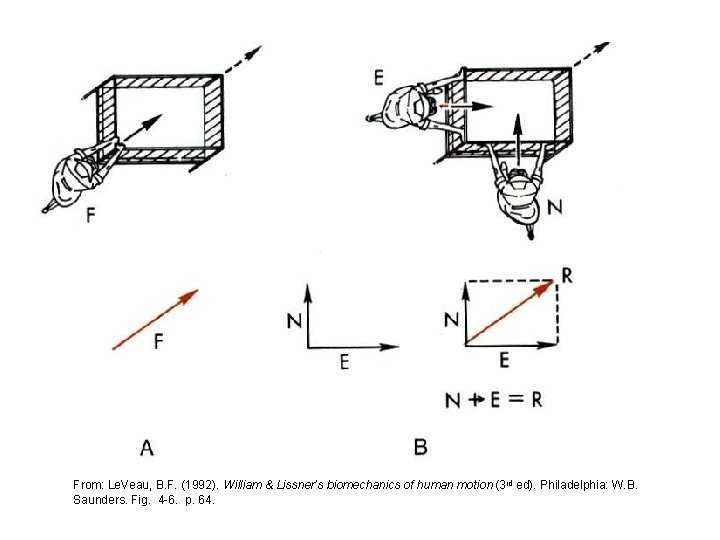From: Le. Veau, B. F. (1992). William & Lissner’s biomechanics of human motion (3
