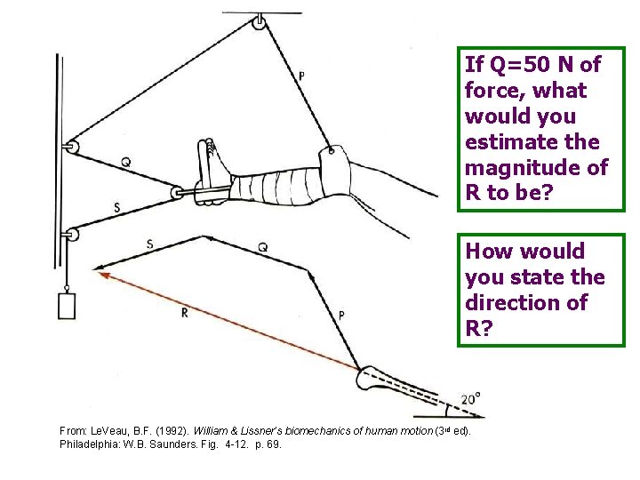 If Q=50 N of force, what would you estimate the magnitude of R to