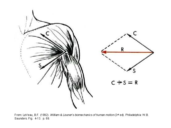 From: Le. Veau, B. F. (1992). William & Lissner’s biomechanics of human motion (3