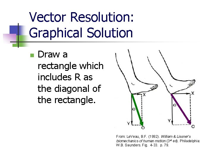 Vector Resolution: Graphical Solution n Draw a rectangle which includes R as the diagonal