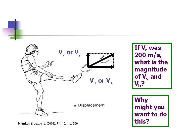 Vv or Vy Vh or Vx Hamilton & Luttgens. (2001). Fig 10. 1. p.