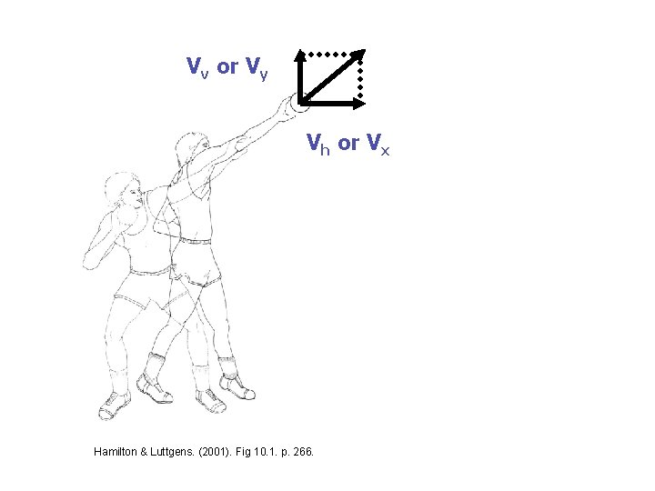 Vv or Vy Vh or Vx Hamilton & Luttgens. (2001). Fig 10. 1. p.