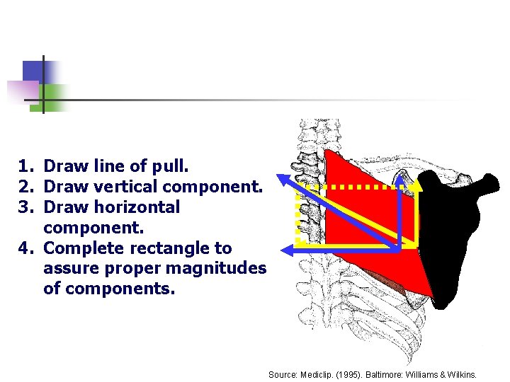 1. Draw line of pull. 2. Draw vertical component. 3. Draw horizontal component. 4.