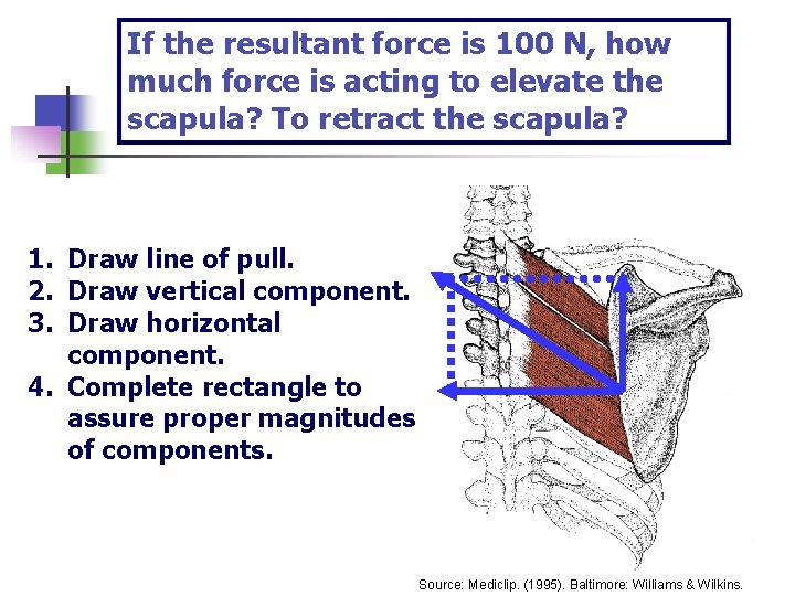 If the resultant force is 100 N, how much force is acting to elevate
