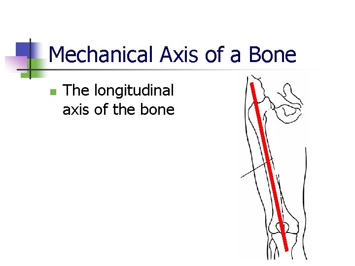 Mechanical Axis of a Bone n The longitudinal axis of the bone 