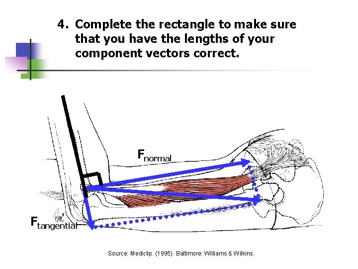 4. Complete the rectangle to make sure that you have the lengths of your