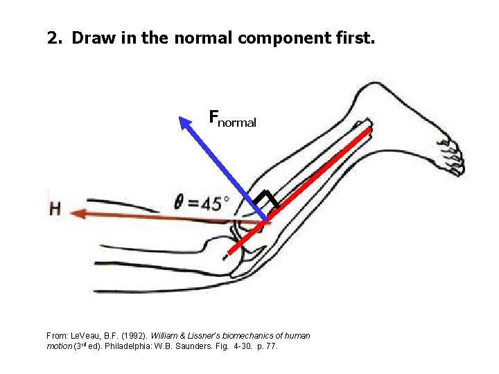 2. Draw in the normal component first. Fnormal From: Le. Veau, B. F. (1992).