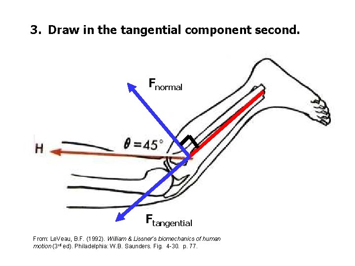 3. Draw in the tangential component second. Fnormal Ftangential From: Le. Veau, B. F.