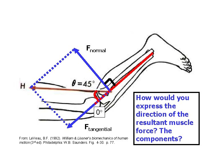 Fnormal 0 Ftangential From: Le. Veau, B. F. (1992). William & Lissner’s biomechanics of