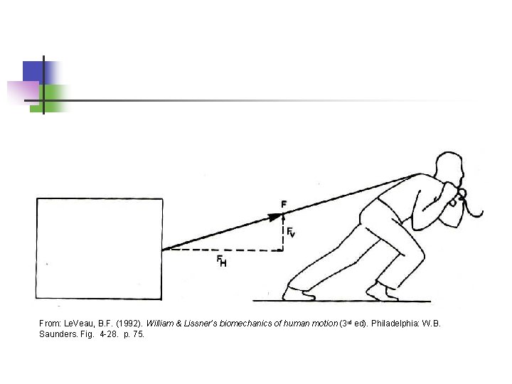 Fv From: Le. Veau, B. F. (1992). William & Lissner’s biomechanics of human motion