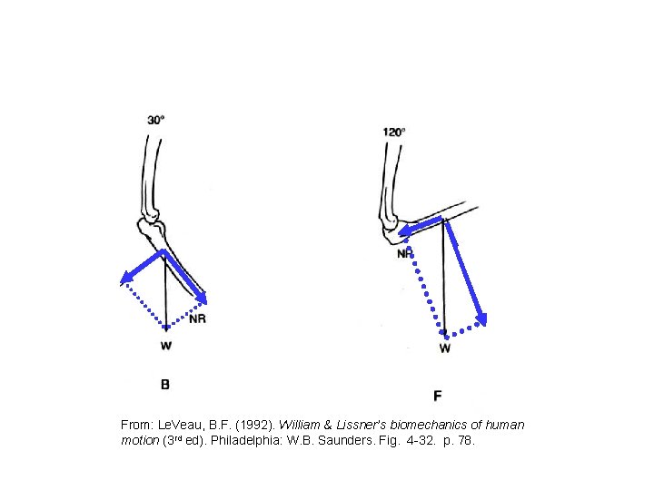 From: Le. Veau, B. F. (1992). William & Lissner’s biomechanics of human motion (3