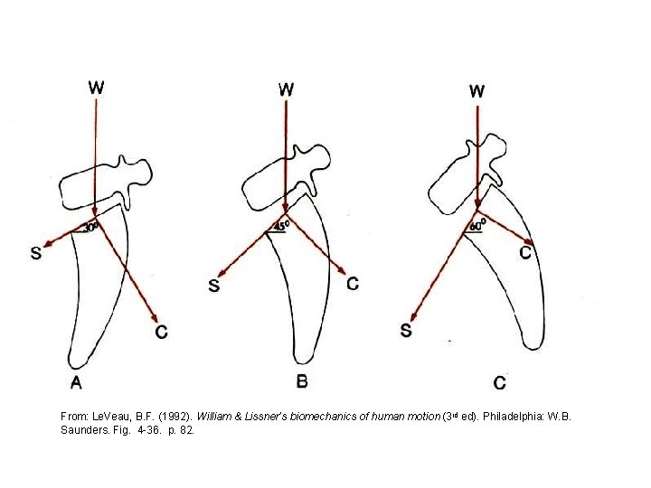 From: Le. Veau, B. F. (1992). William & Lissner’s biomechanics of human motion (3