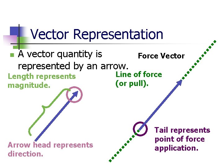 Vector Representation n A vector quantity is represented by an arrow. Length represents magnitude.