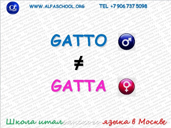 GATTO ≠ GATTA 