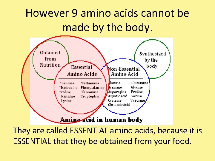 However 9 amino acids cannot be made by the body. They are called ESSENTIAL