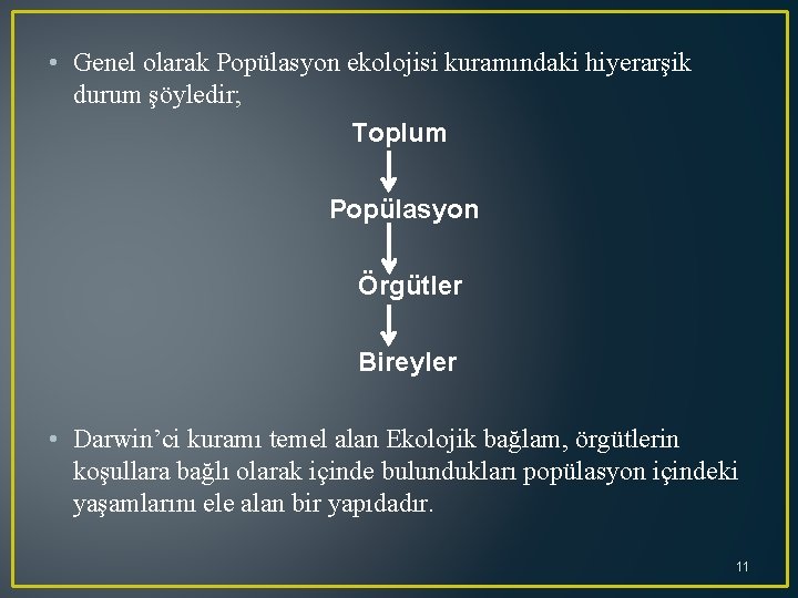  • Genel olarak Popülasyon ekolojisi kuramındaki hiyerarşik durum şöyledir; Toplum Popülasyon Örgütler Bireyler