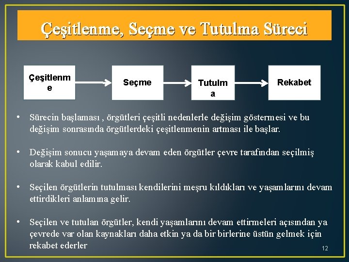 Çeşitlenme, Seçme ve Tutulma Süreci Çeşitlenm e Seçme Tutulm a Rekabet • Sürecin başlaması