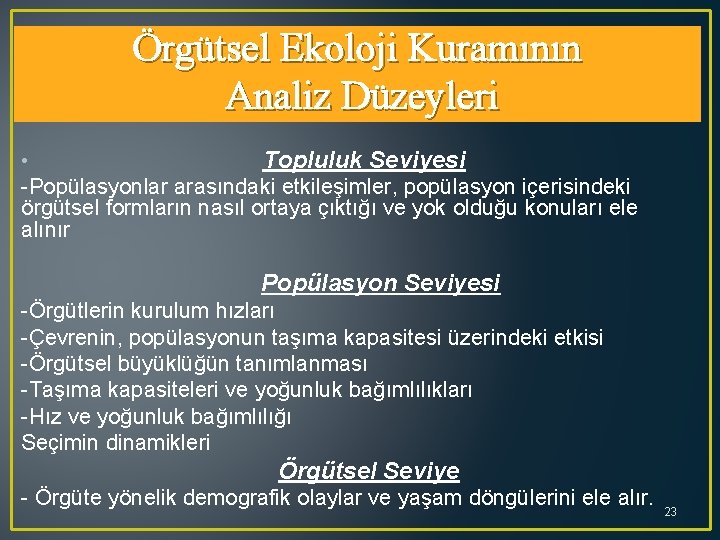 Örgütsel Ekoloji Kuramının Analiz Düzeyleri • Topluluk Seviyesi -Popülasyonlar arasındaki etkileşimler, popülasyon içerisindeki örgütsel