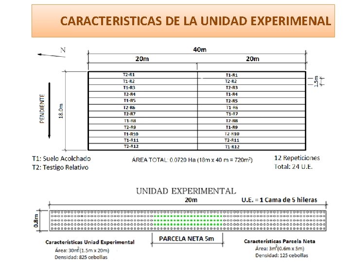 CARACTERISTICAS DE LA UNIDAD EXPERIMENAL 