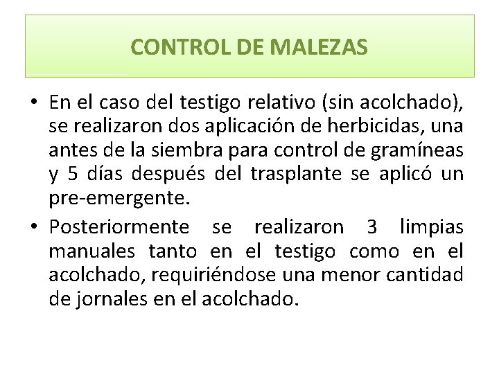 CONTROL DE MALEZAS • En el caso del testigo relativo (sin acolchado), se realizaron