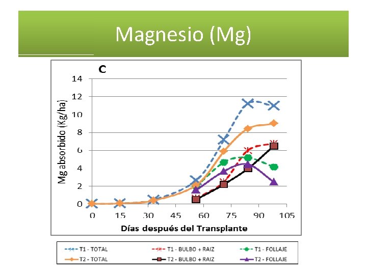 Magnesio (Mg) 