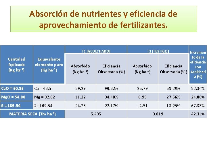 Absorción de nutrientes y eficiencia de aprovechamiento de fertilizantes. T 1 (ACOLCHADO) Cantidad Aplicada