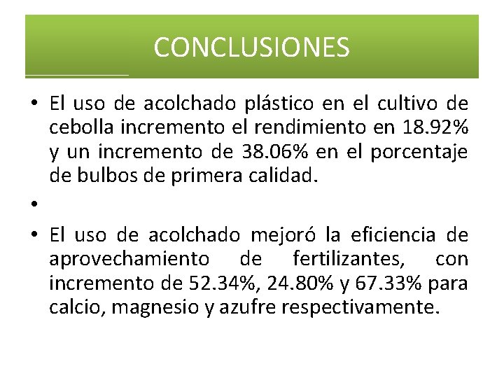 CONCLUSIONES • El uso de acolchado plástico en el cultivo de cebolla incremento el