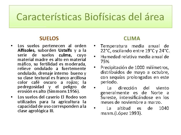 Características Biofísicas del área SUELOS • • Los suelos pertenecen al orden Alfisoles, suborden