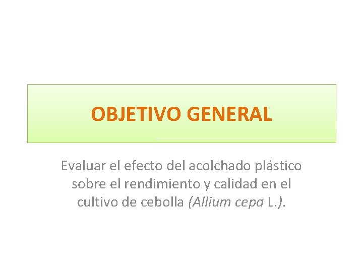 OBJETIVO GENERAL Evaluar el efecto del acolchado plástico sobre el rendimiento y calidad en