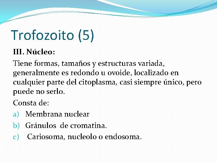 Trofozoito (5) III. Núcleo: Tiene formas, tamaños y estructuras variada, generalmente es redondo u