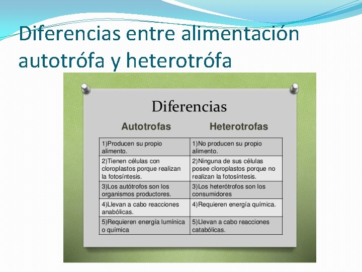 Diferencias entre alimentación autotrófa y heterotrófa 
