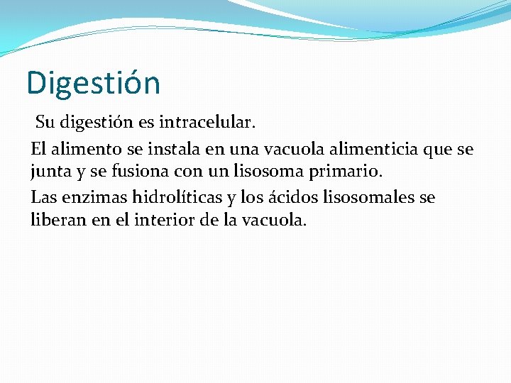 Digestión Su digestión es intracelular. El alimento se instala en una vacuola alimenticia que