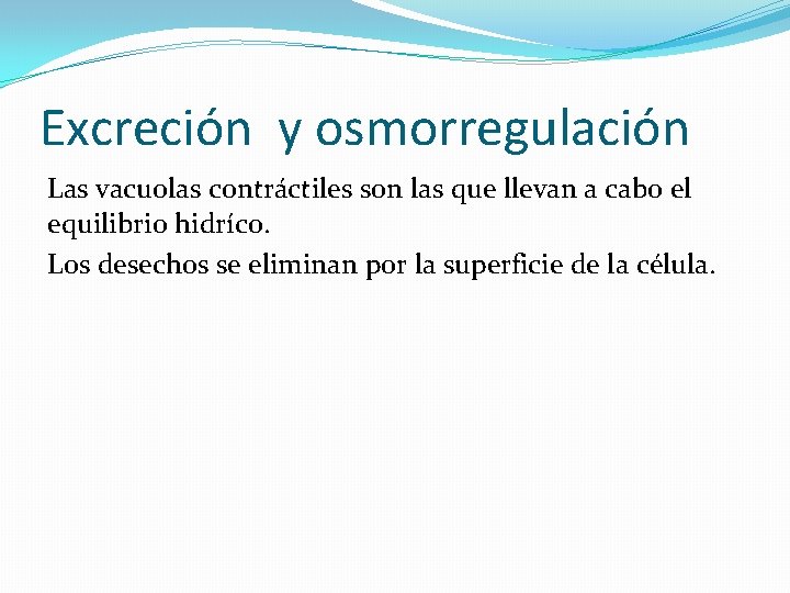 Excreción y osmorregulación Las vacuolas contráctiles son las que llevan a cabo el equilibrio